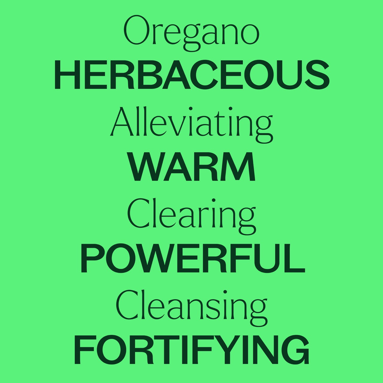 Oregano Essential Oil key features: herbaceous, alleviating, warm, clearing, powerful, cleansing, fortifying