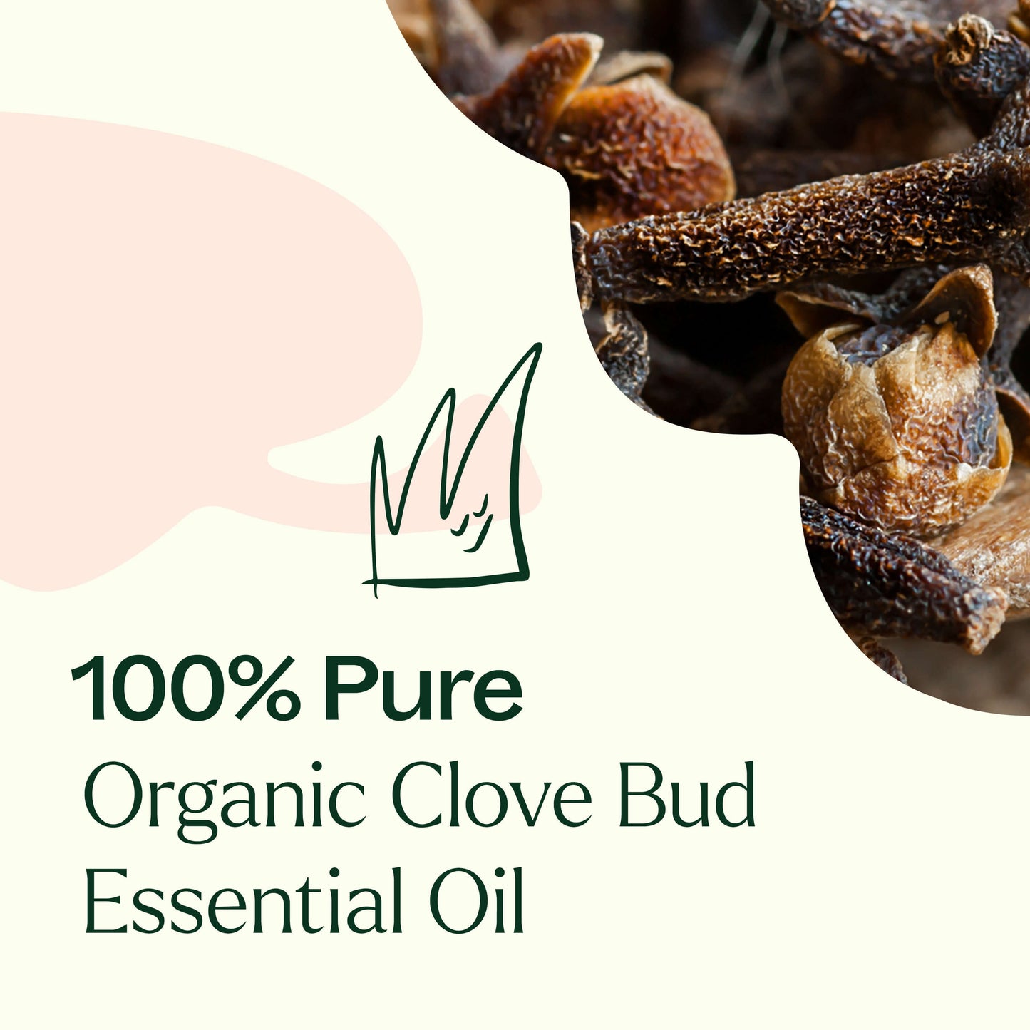 100% pure Organic Clove Bud Essential Oil