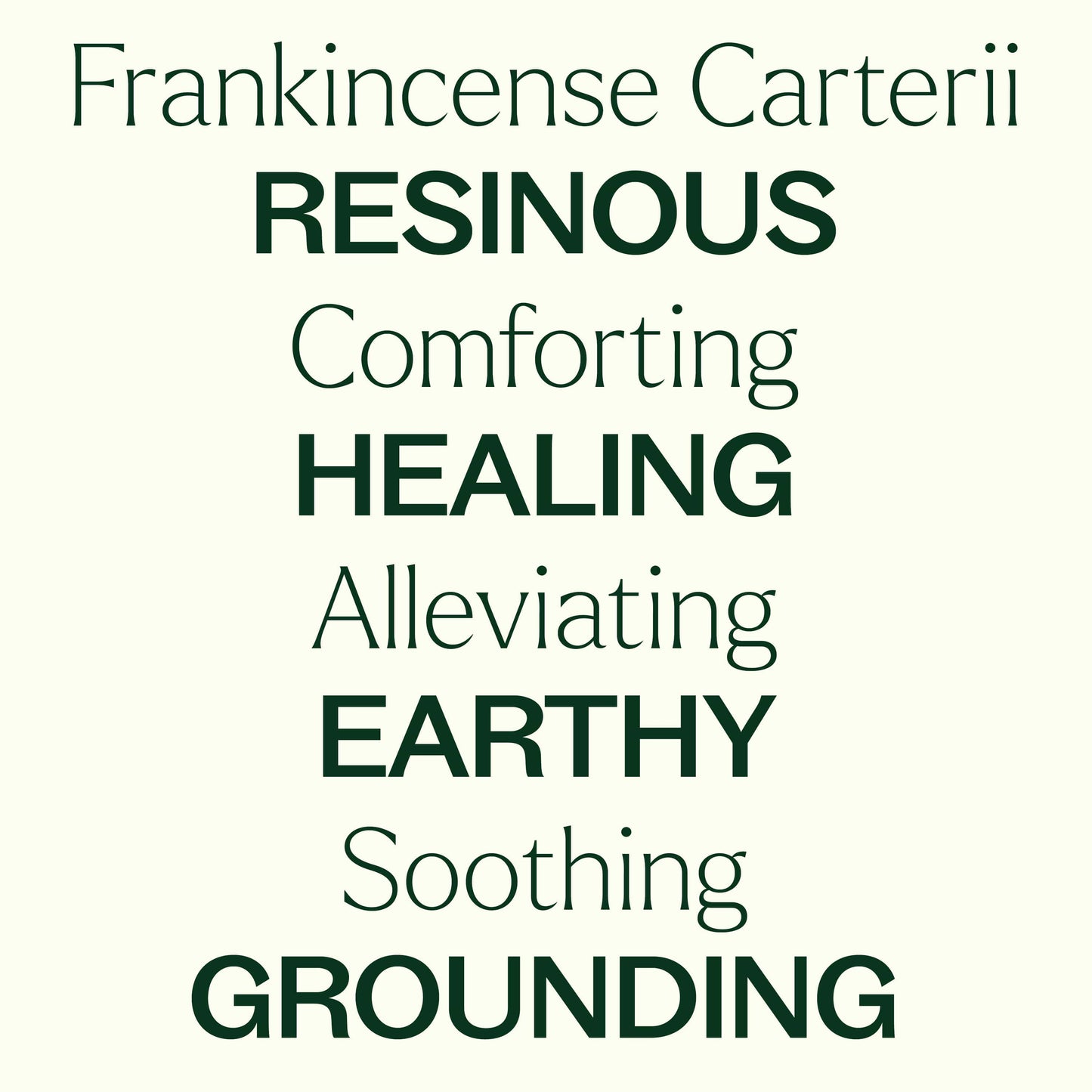 Organic Frankincense Carterii Essential Oil is comforting, healing, alleviating, earthy, soothing, grounding