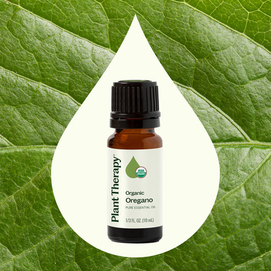Organic Oregano Essential Oil