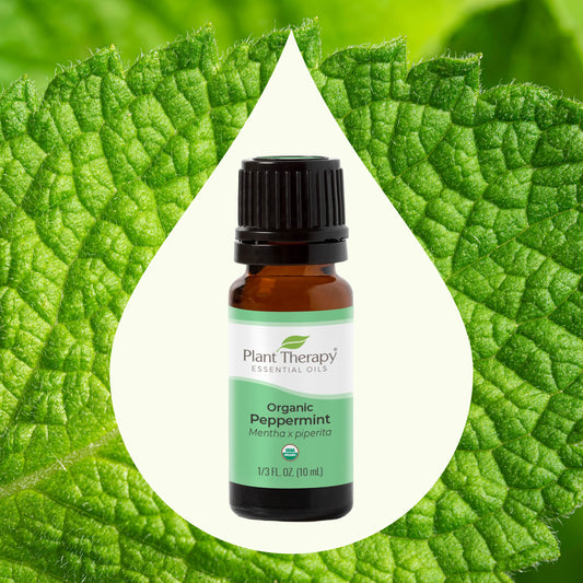 Organic Peppermint Essential Oil front label