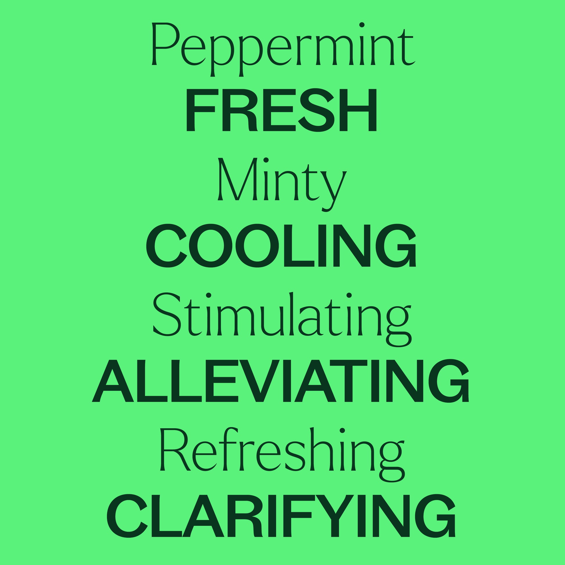 Organic Peppermint 5-Pack