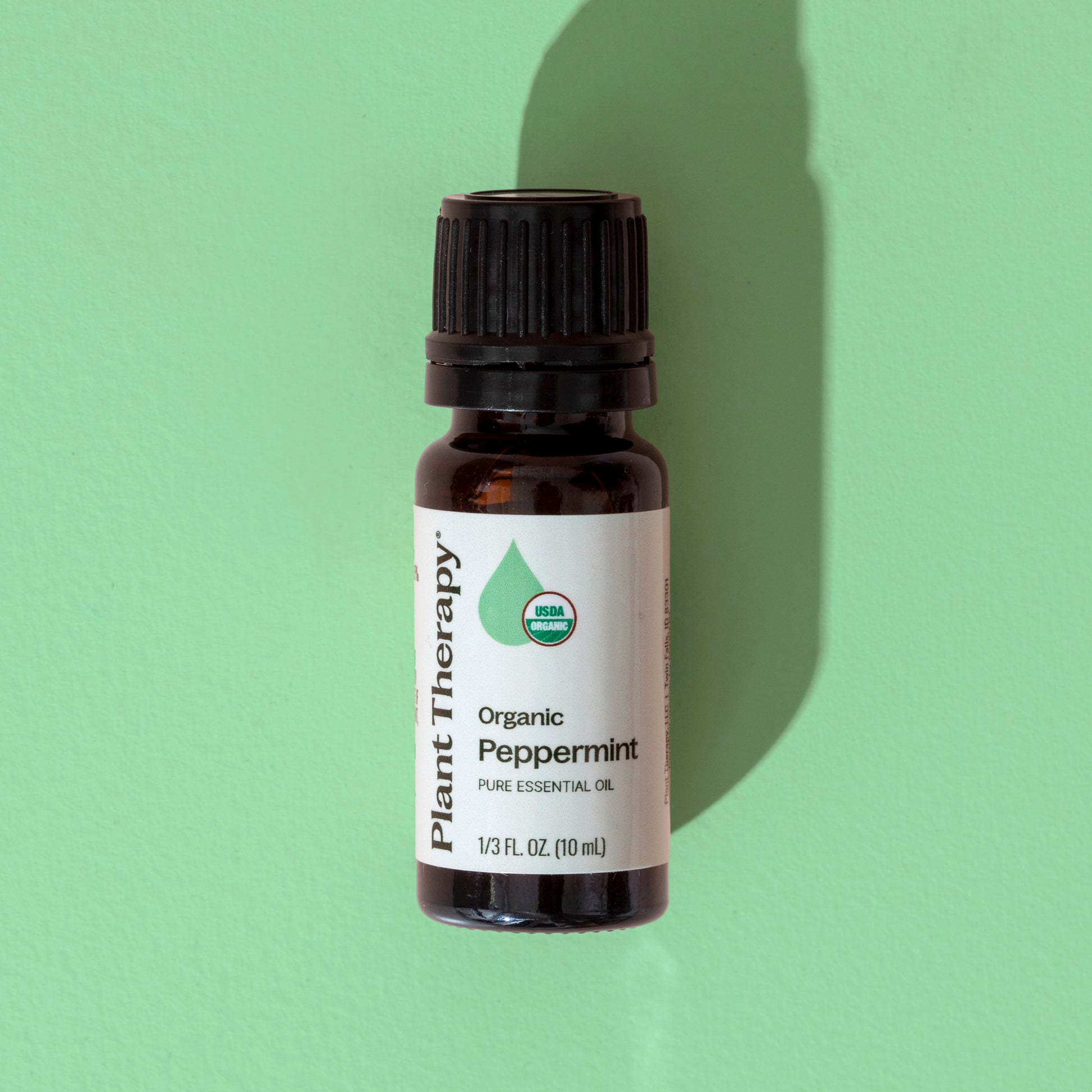 Organic Peppermint 5-Pack