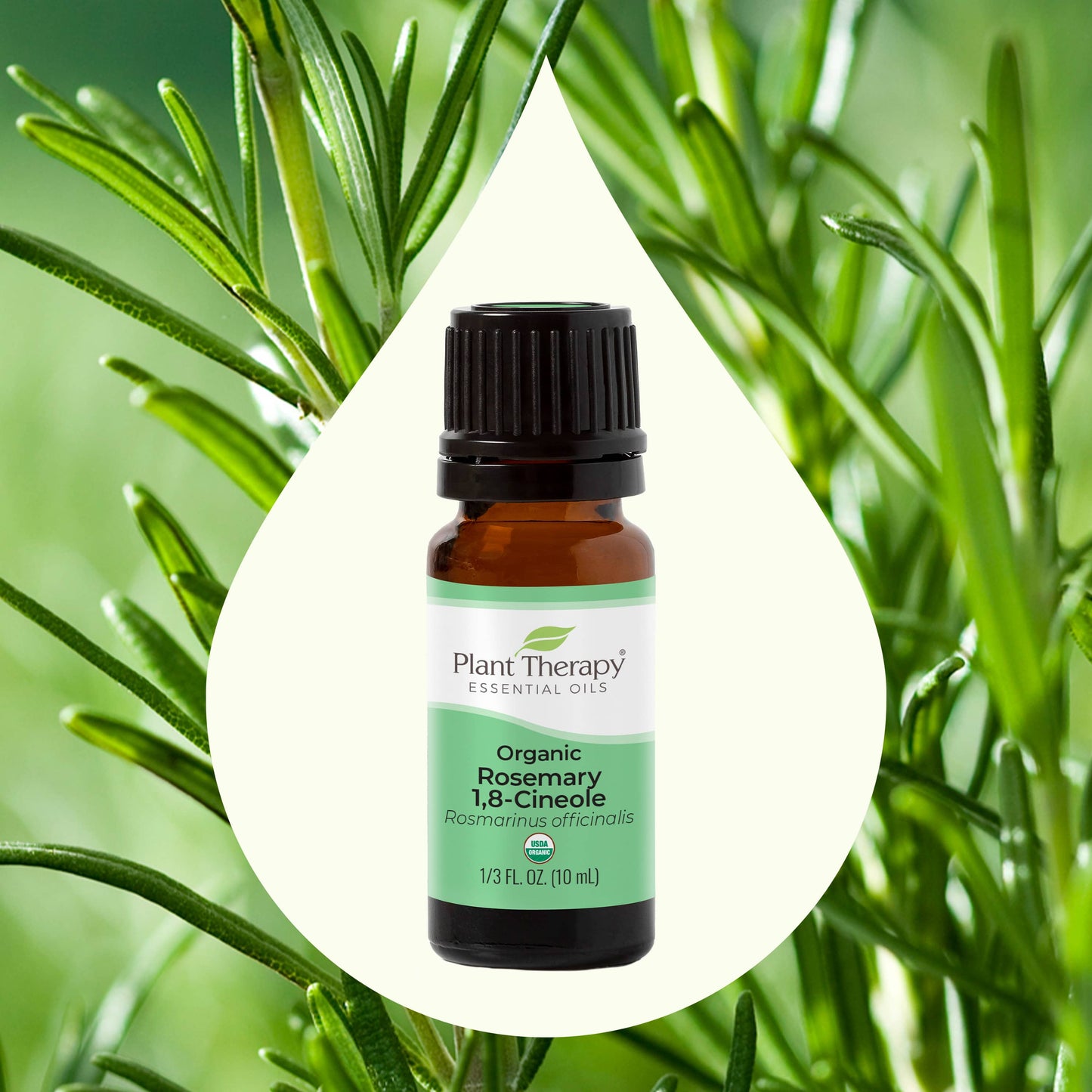Organic Rosemary 1,8-Cineole Essential Oil front label