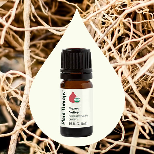 Organic Vetiver Essential Oil