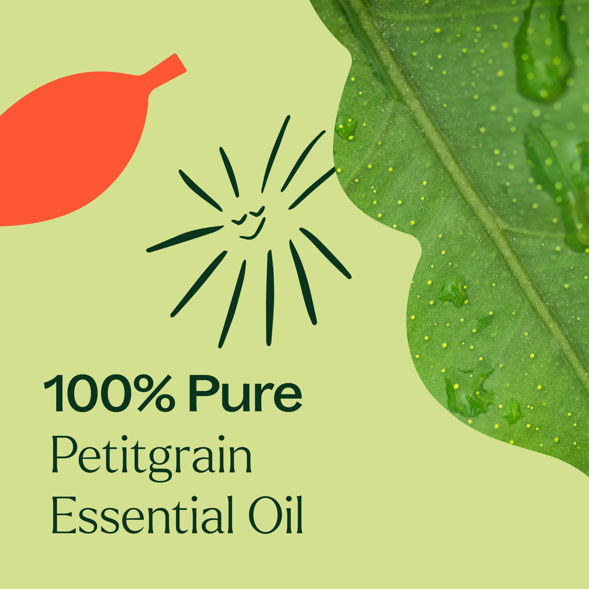 Petitgrain Essential Oil