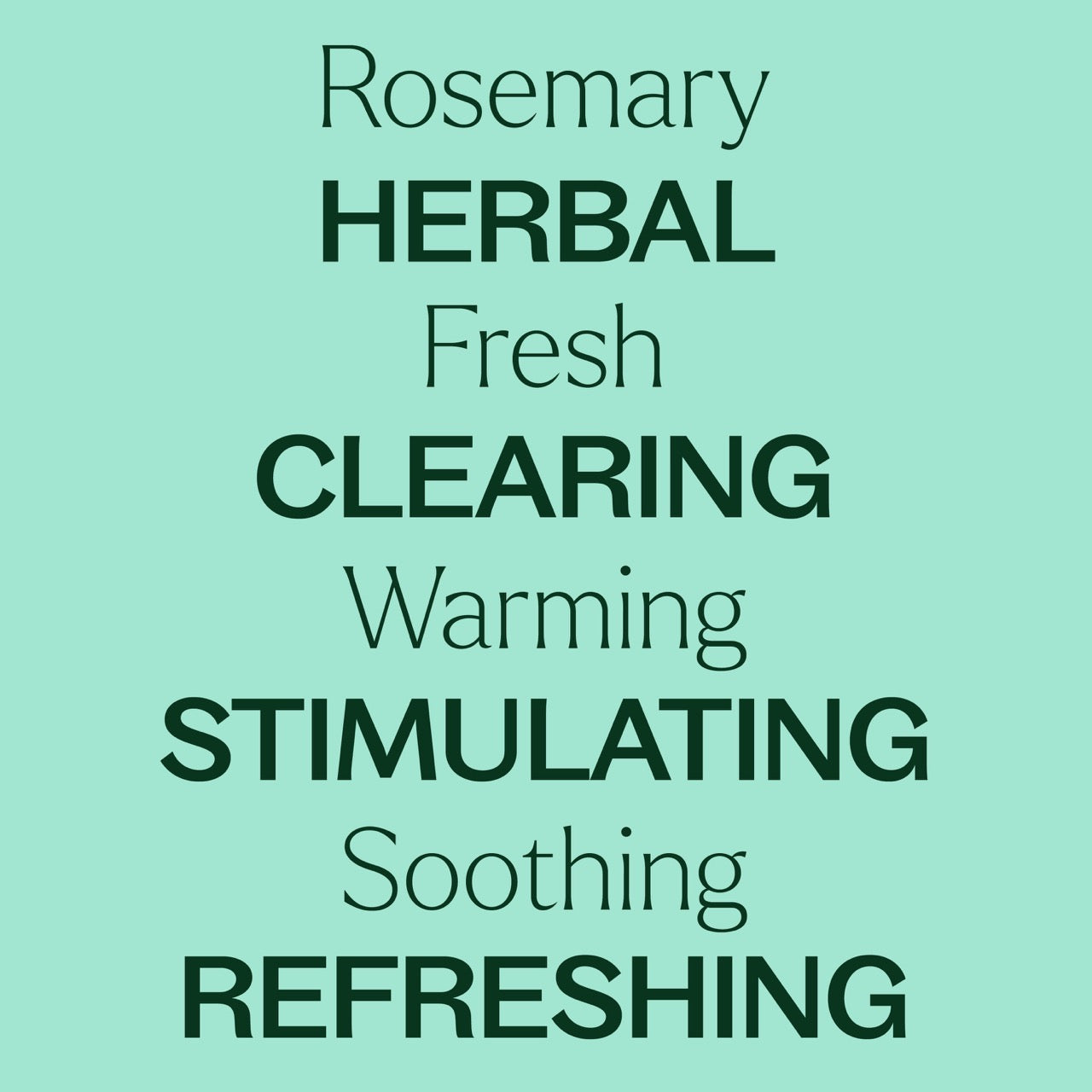 Rosemary 1,8-Cineole Essential Oil is herbal, fresh, clearing, warming, stimulating, soothing, and refreshing