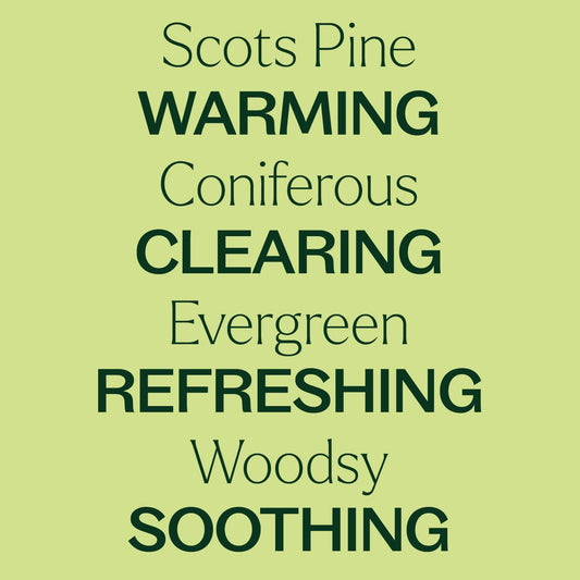 Scots Pine Essential Oil