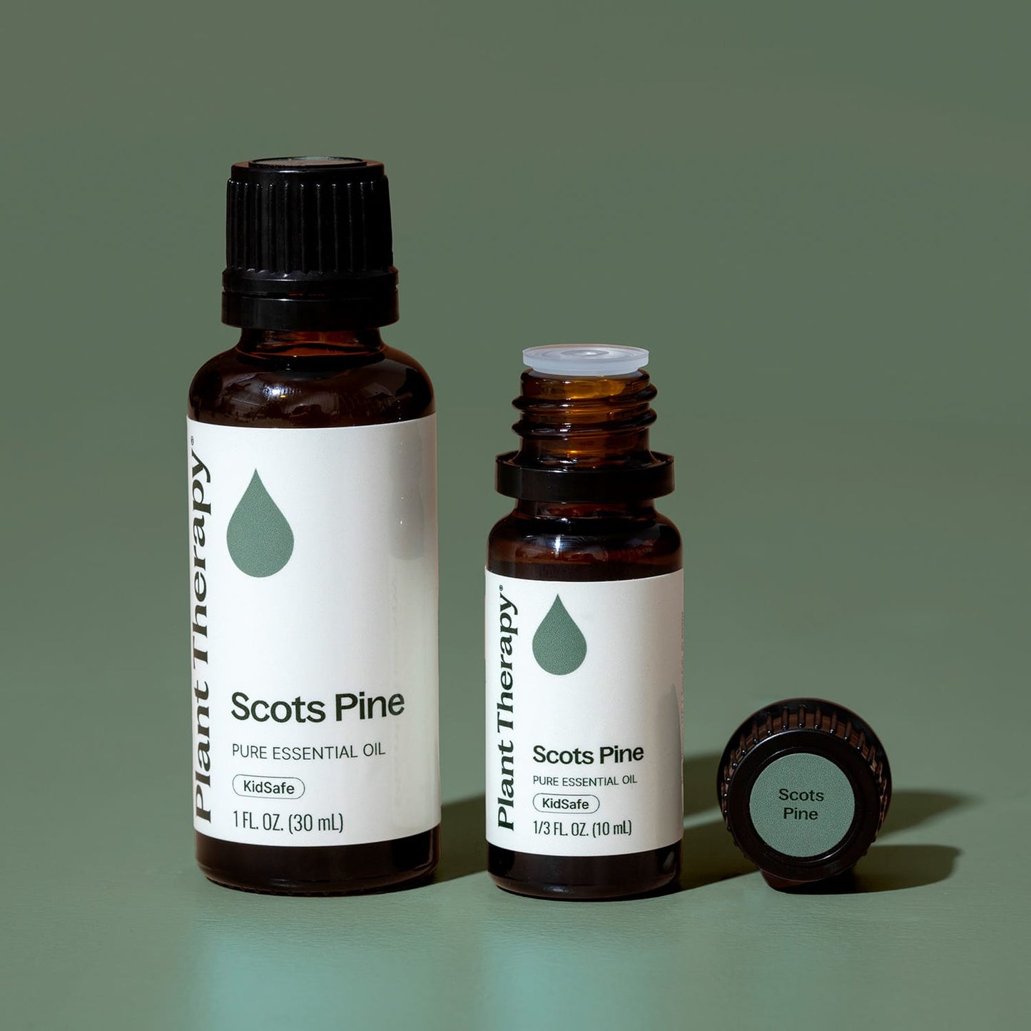 Scots Pine Essential Oil