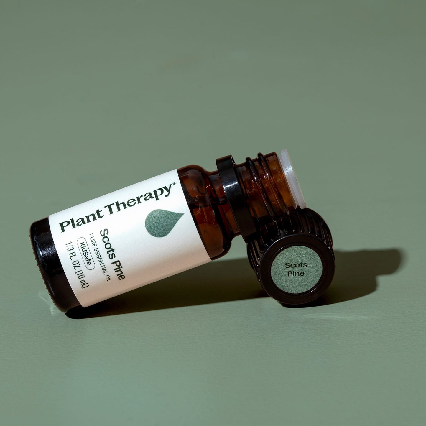 Scots Pine Essential Oil