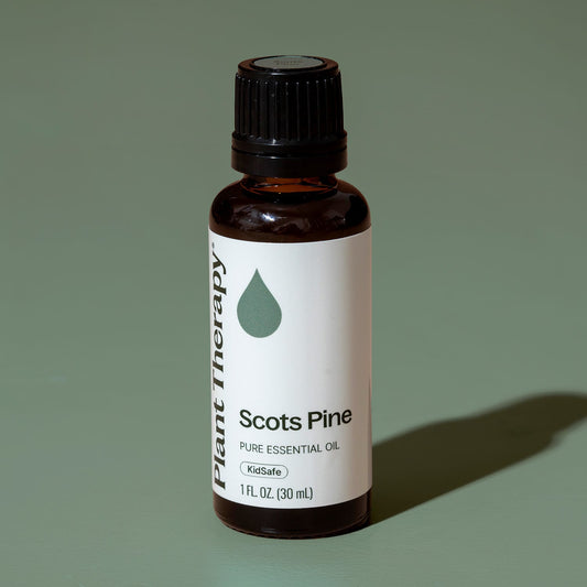 Scots Pine Essential Oil