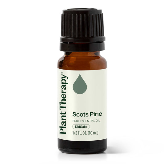 Scots Pine Essential Oil