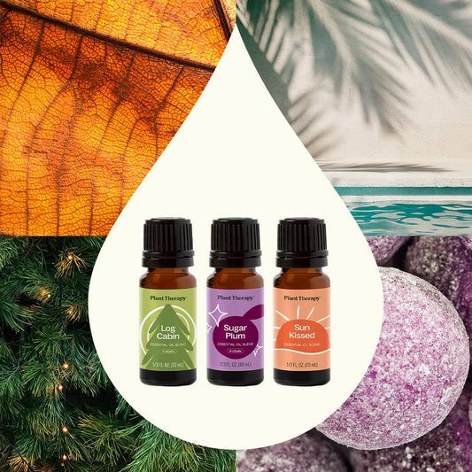 Seasonal Favorites Trio
