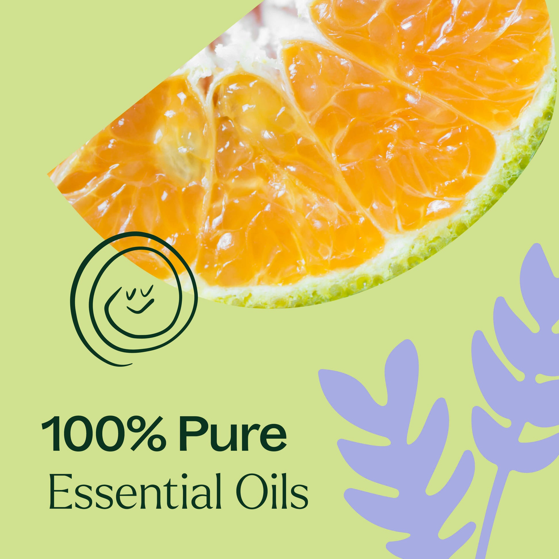 Sleep Tight Essential Oil Blend