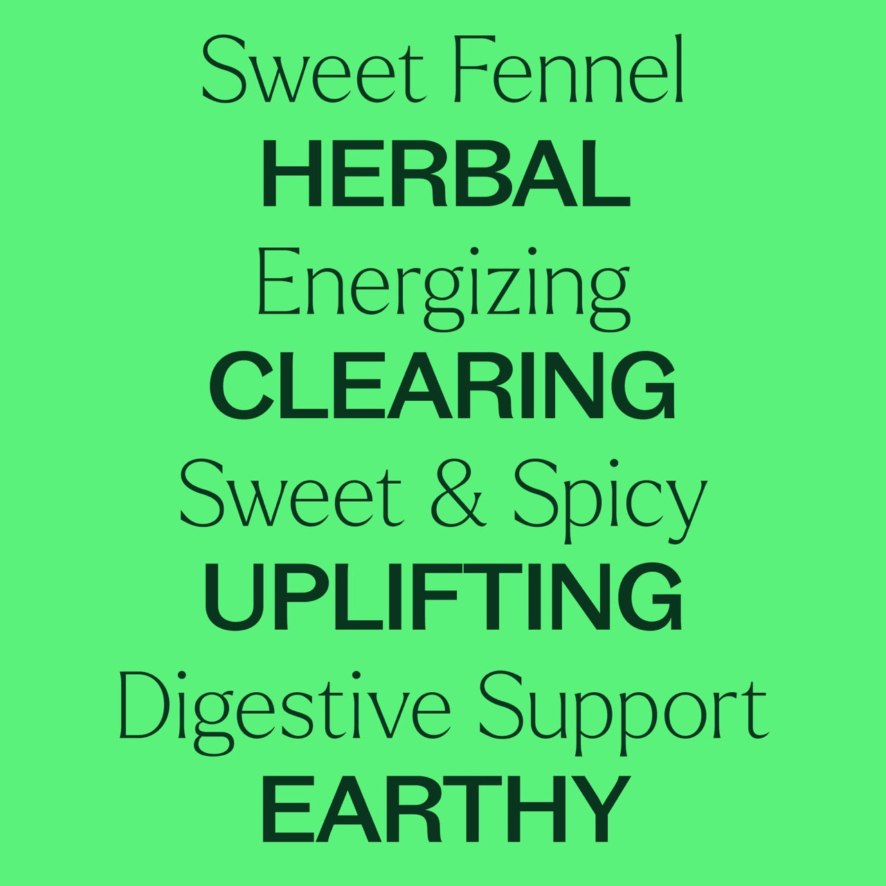 Sweet Fennel Essential Oil key feature: Herbal, energizing, clearing, sweet and spicy, upliting, digestive support, and earthy