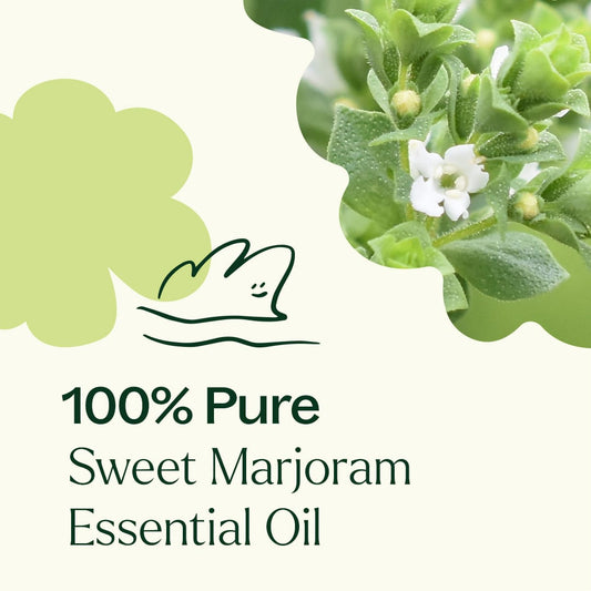 Sweet Marjoram Essential Oil