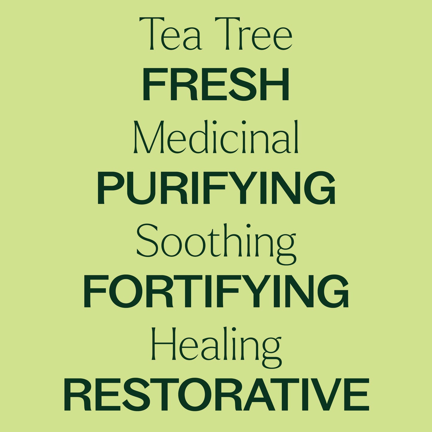tea tree body oil is fresh, medicinal, purifying, soothing, fortifying, healing, and restorative