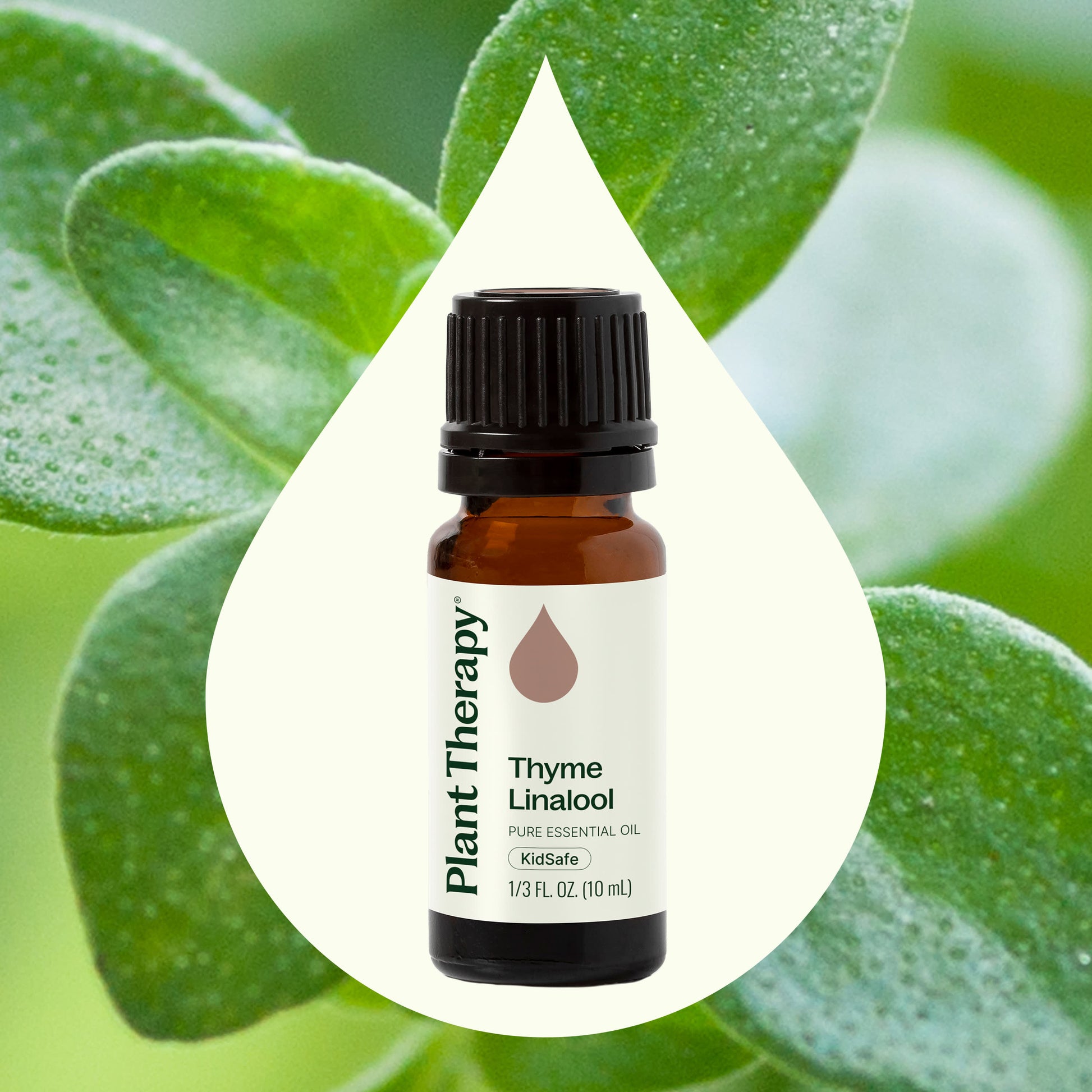 Thyme Linalool Essential Oil