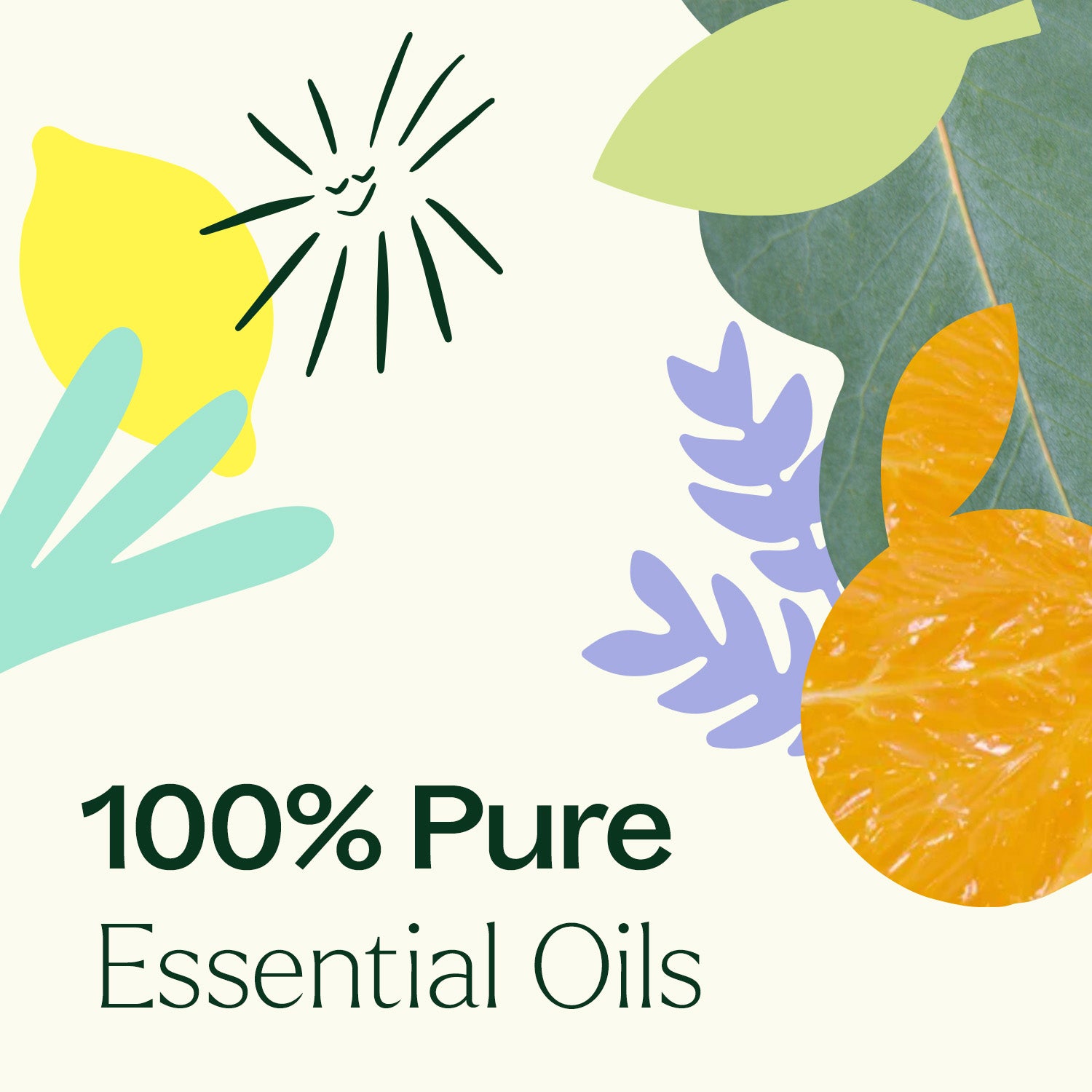 Top 6 Everyday Oils Bundle