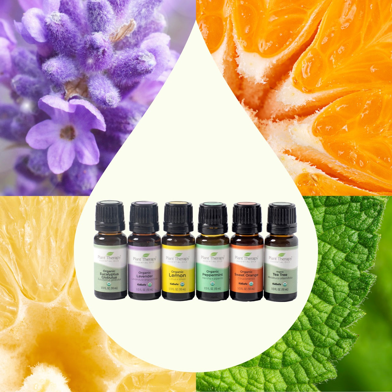 Top 6 Organic Singles Essential Oil Set with key ingredient images