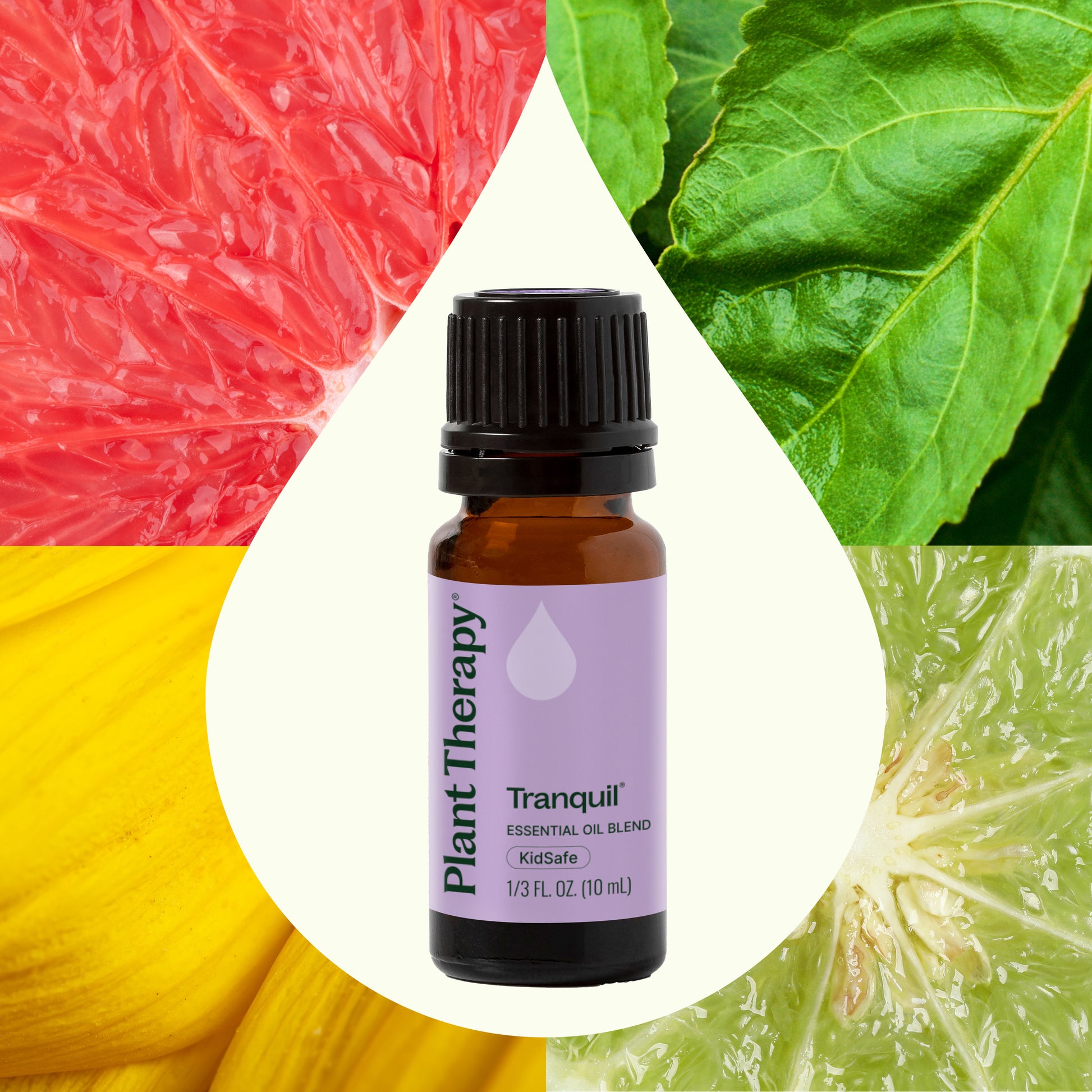 Tranquil Essential Oil Blend