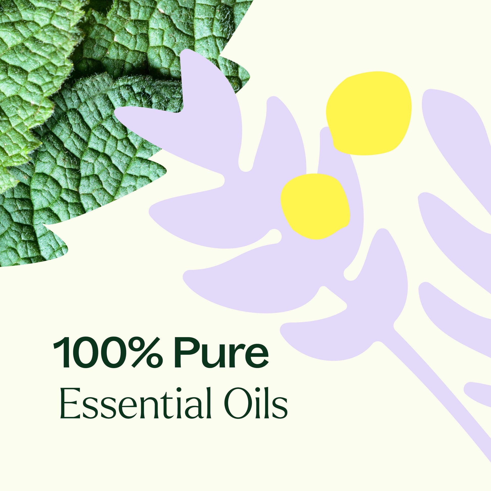 True Expression (Throat Chakra) Essential Oil