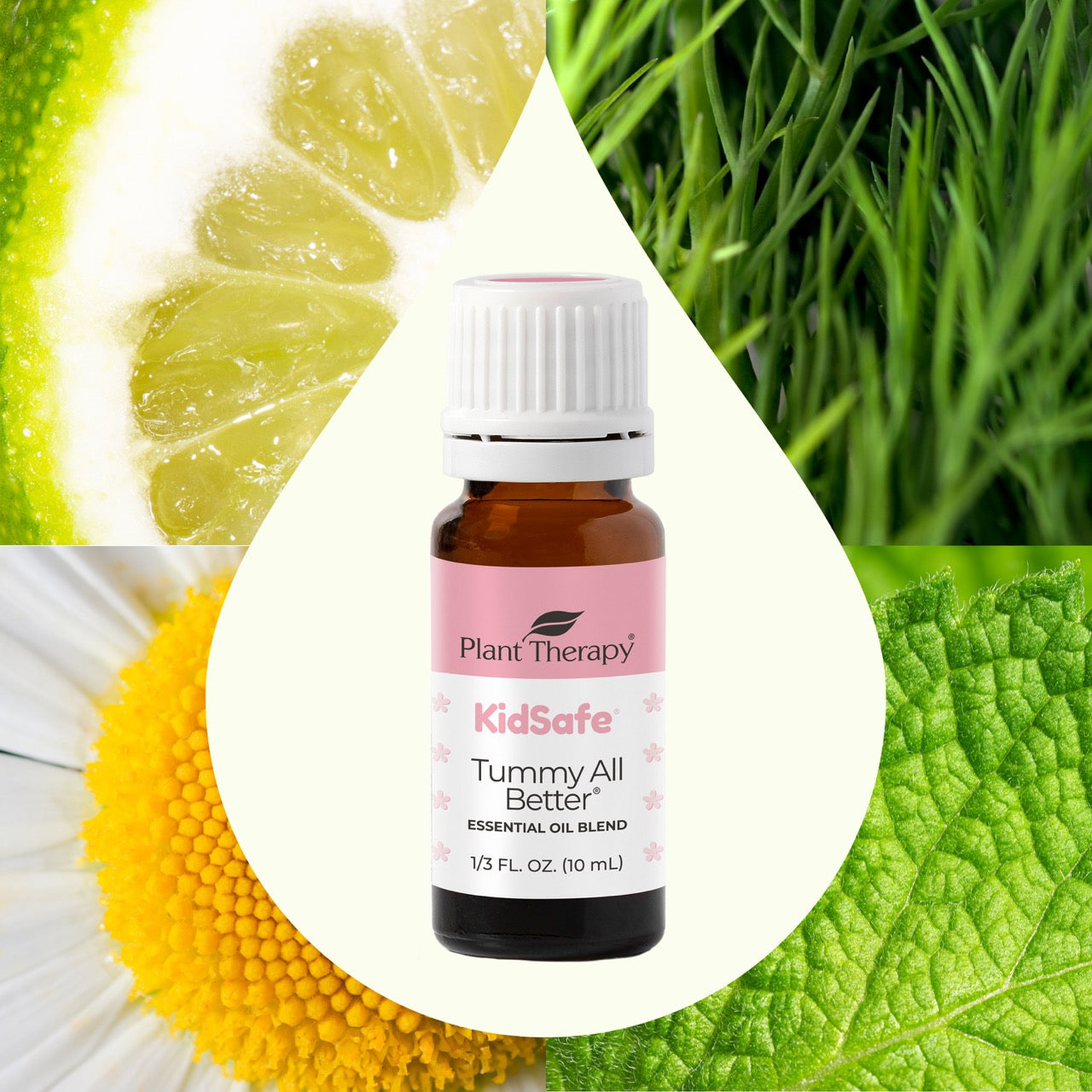 Tummy All Better KidSafe Essential Oil with key ingredient images