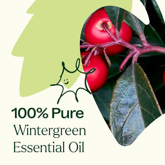 Wintergreen Essential Oil