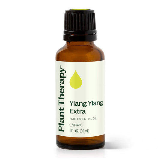 Ylang Ylang Extra Essential Oil