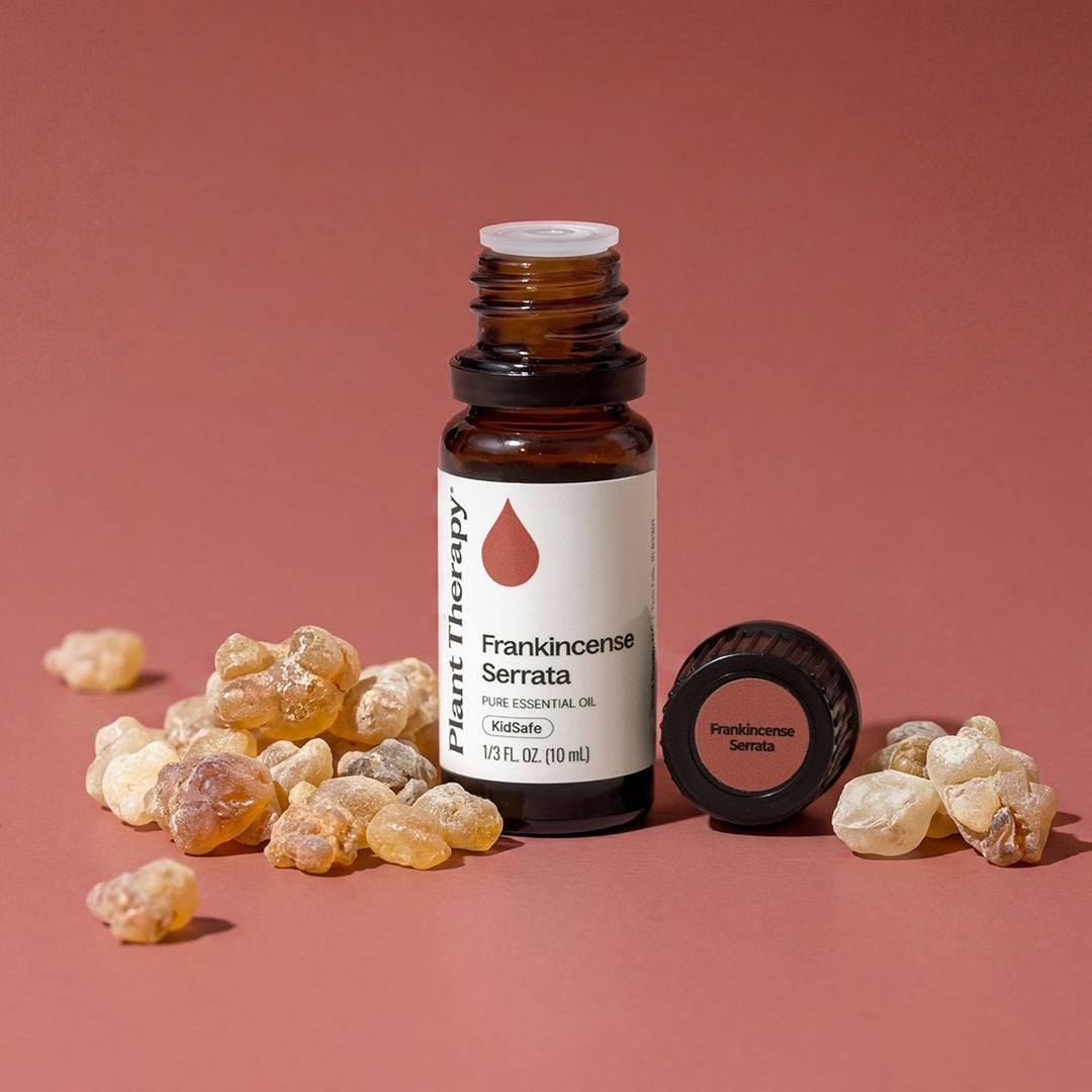 Frankincense Serrata Essential Oil