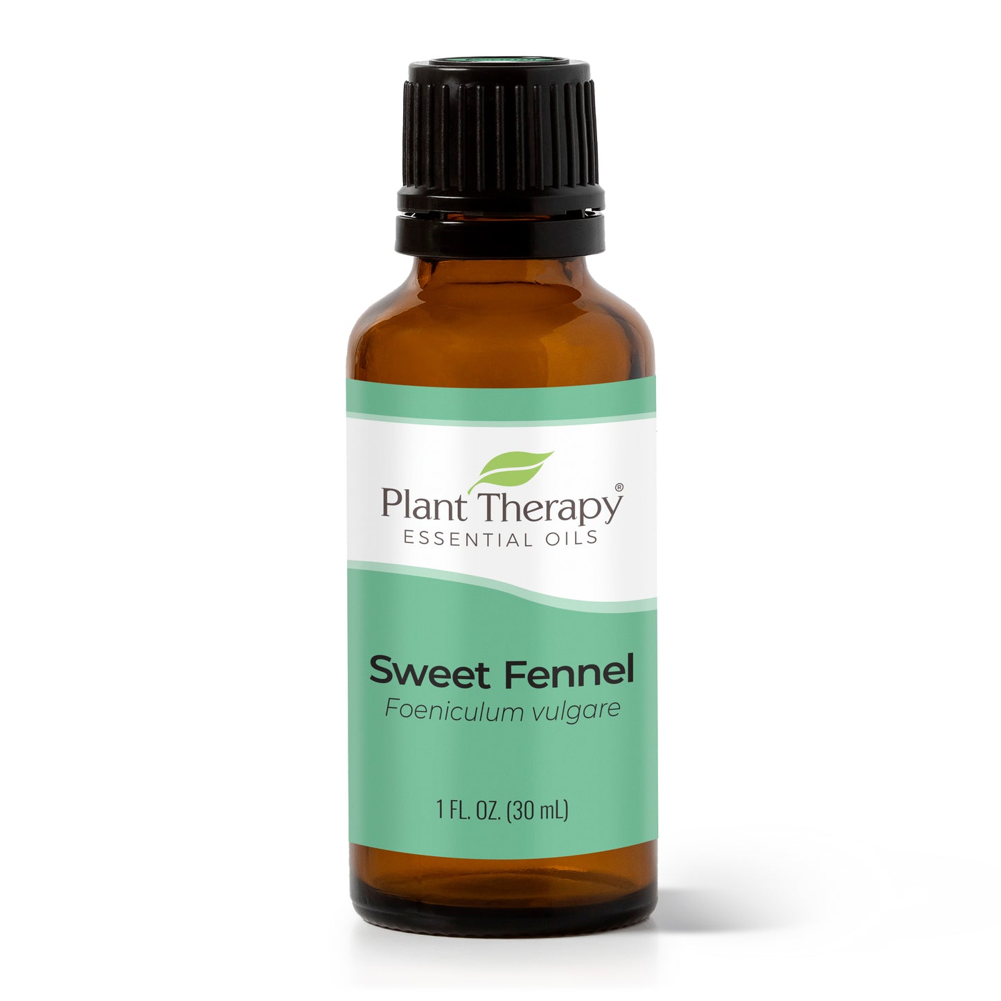 Sweet Fennel Essential Oil 30 mL