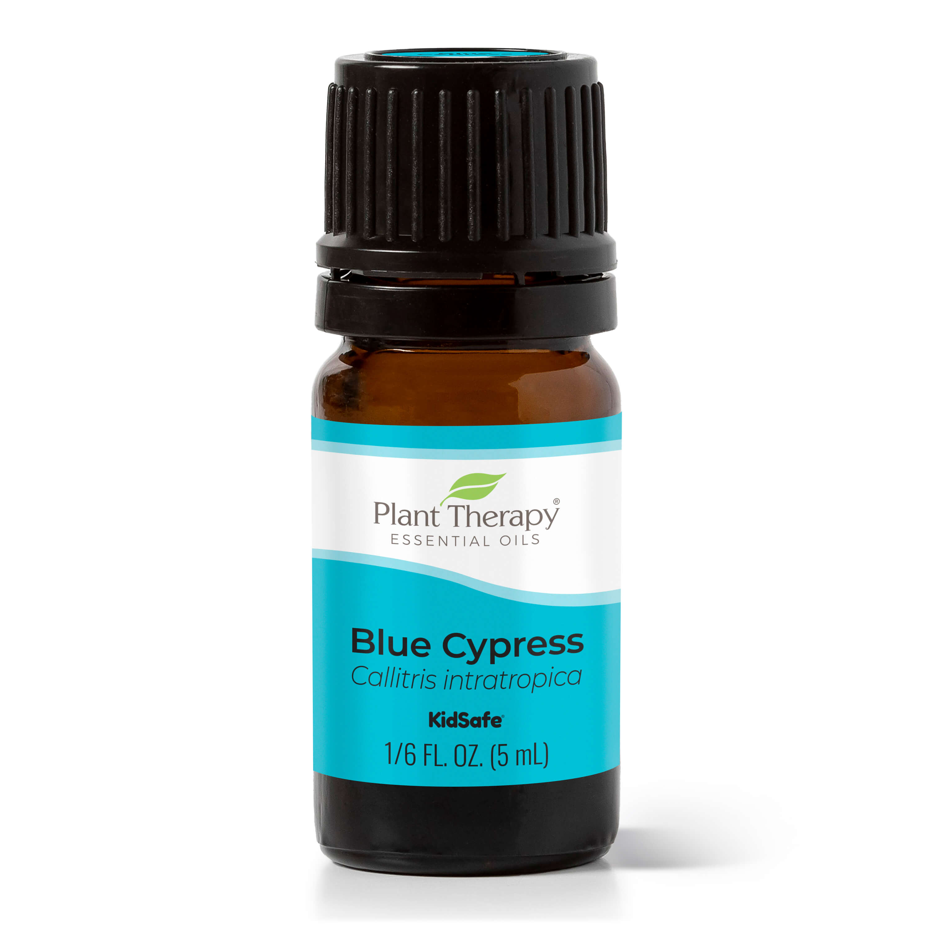 Blue Cypress Essential Oil Plant Therapy