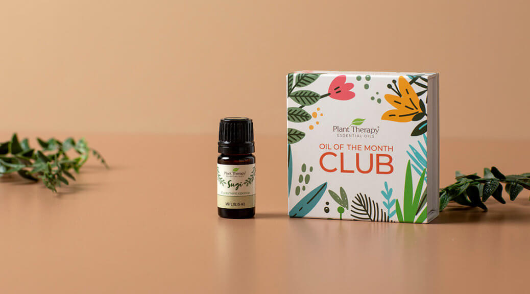 September Oil of the Month Reveal: Sugi Essential Oil