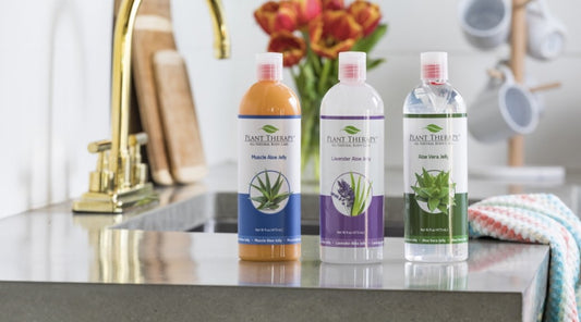 Aloe Jellies: Why They're Your New Best Friend