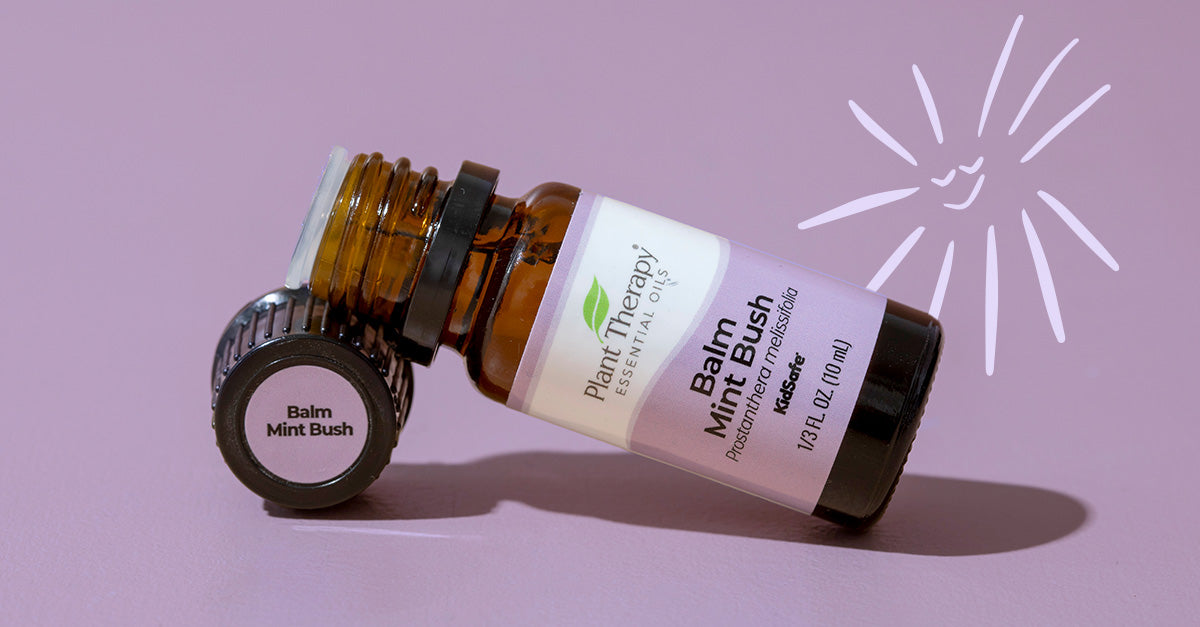 4 Ways to Use Balm Mint Bush