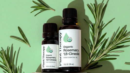 Benefits Of Rosemary Oil For Hair And Focus