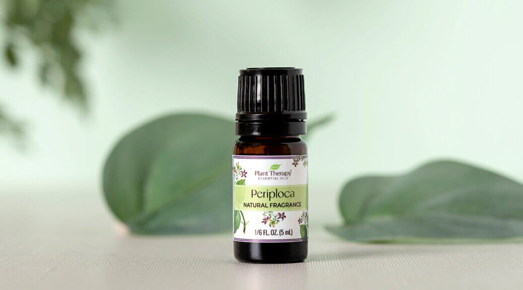 Meet September's Oil of the Month - Periploca!