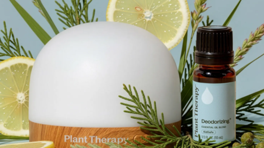 Can You Put Essential Oils In A Humidifier Safely