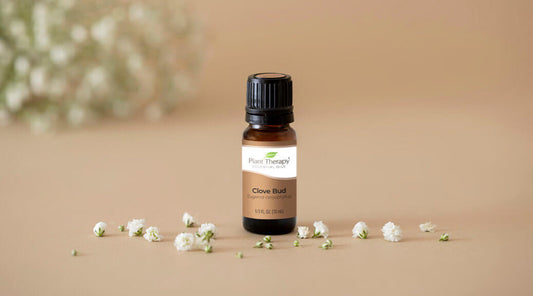 The Powerful Capabilities of Clove Bud Essential Oil