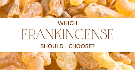 Which Frankincense Should You Choose?