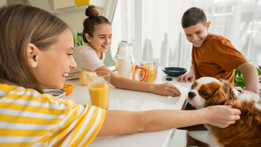 Is Peppermint Oil Safe For Dogs To Use At Home