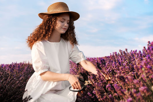 Lavender Essential Oil Benefits For Skin_ Hair_ And Home