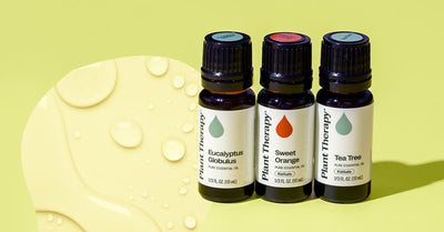 Essentials of Blending: How To Blend Essential Oils