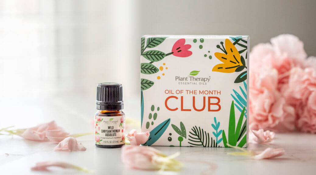 Oil of the Month Reveal: Wild Chrysanthemum Absolute