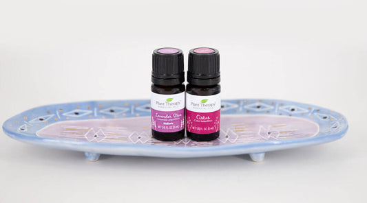 November Oil of the Month: Lavender Diva & Cistus