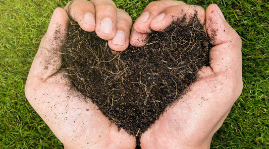 Shouldn't Every Day be Earth Day?