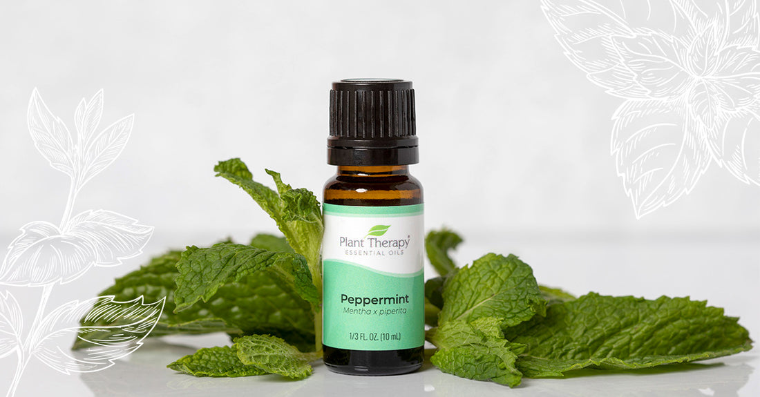 Peppermint Diffuser Blends – Plant Therapy
