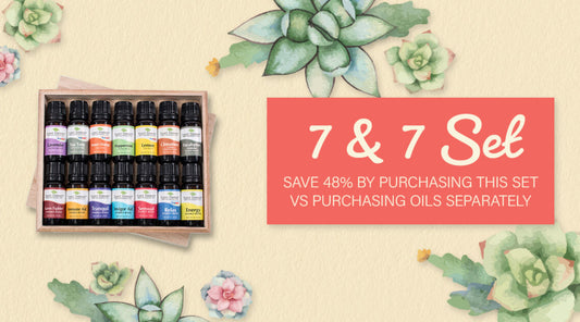 Meet Plant Therapy's 7 & 7 Set & Discover Its Many Uses!