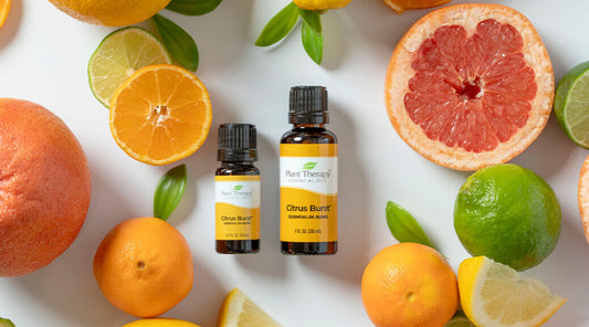 Focusing on Animal Advocacy for Planting Kindness