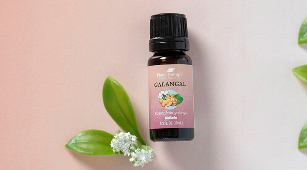 All About Galangal Essential Oil